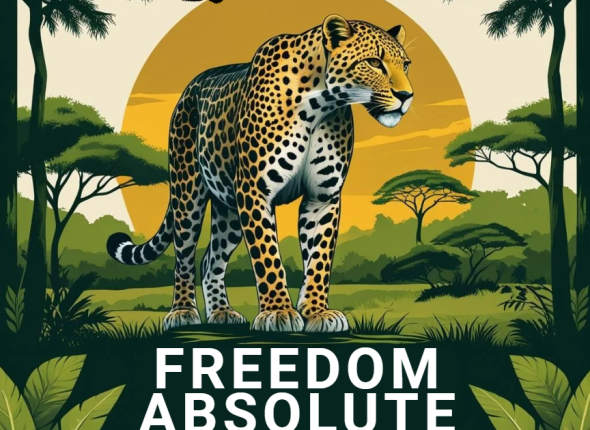 PTV FREEDOM ABSOLUTE_V24.1